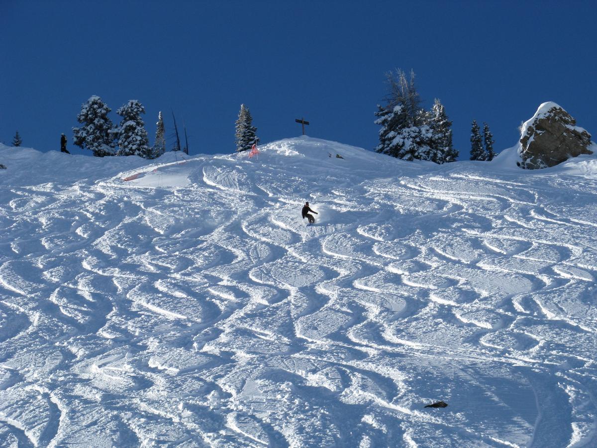 Purple Mountain Bed & Breakfast & Spa Bed and Breakfast Crested Butte Εξωτερικό φωτογραφία