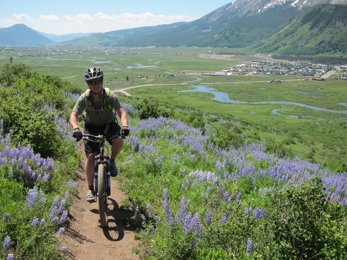 Purple Mountain Bed & Breakfast & Spa Bed and Breakfast Crested Butte Εξωτερικό φωτογραφία