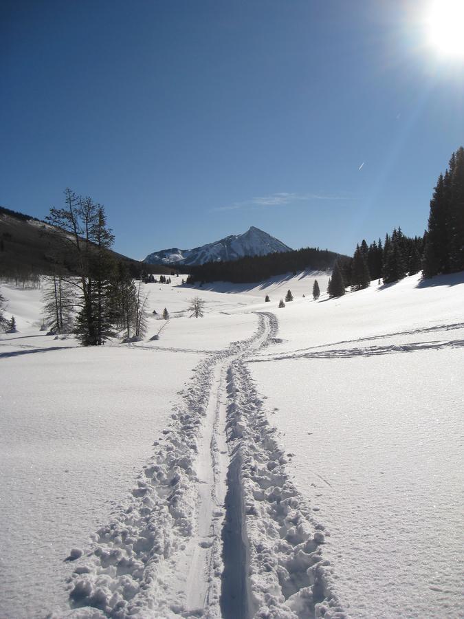 Purple Mountain Bed & Breakfast & Spa Crested Butte Εξωτερικό φωτογραφία