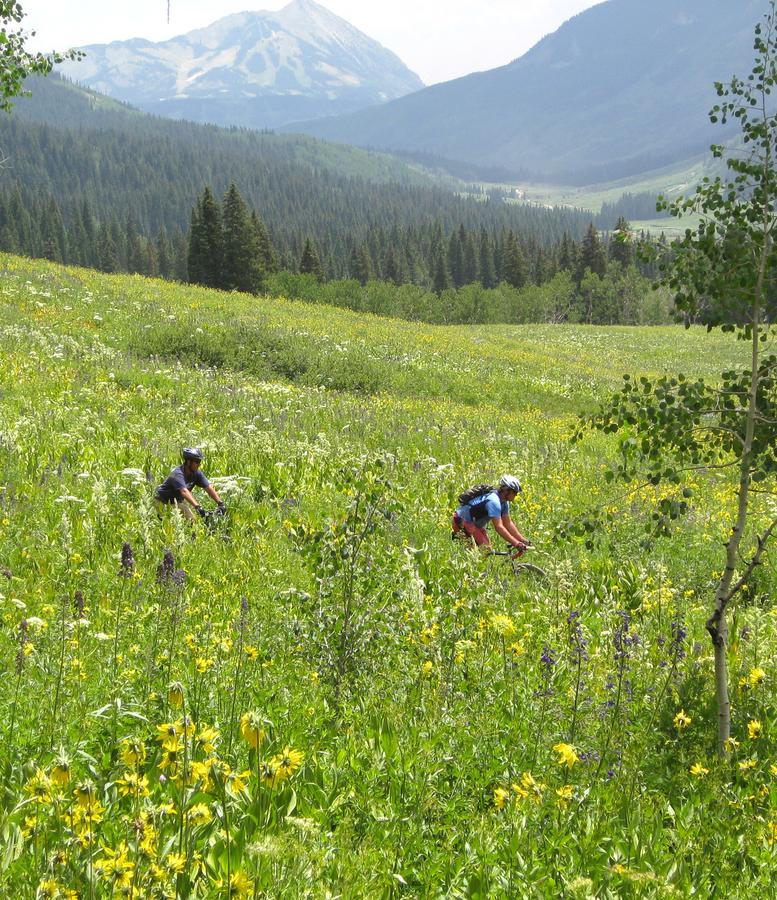 Purple Mountain Bed & Breakfast & Spa Bed and Breakfast Crested Butte Εξωτερικό φωτογραφία