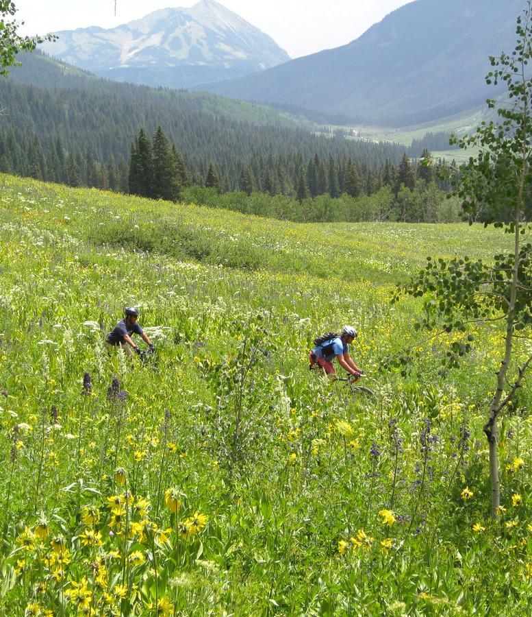 Purple Mountain Bed & Breakfast & Spa Crested Butte Εξωτερικό φωτογραφία